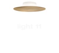 Foscarini Anoor, lámpara de techo y pared LED, champán - ø48 cm - conmutable