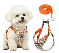 FOSDICK Arnes Perro Pequeño, Set Arnes para Perros Pequeños y Correa Perro | Arnes Cachorro Suave Transpirable, Flor Naranja, Ajustable Pechera para Perro, Dog Harness para Chihuahua, Salchicha, Teckel