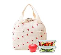 FOSDICK Bolsa Termica Porta Alimentos, Bolso Termico Comida Trabajo, 26x21x18cm, Ideal para el Trabajo, Viajes, Picnic