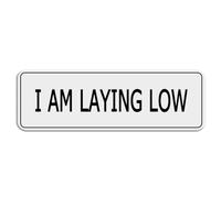 FOSHIN Letrero acrílico con texto en inglés "I Am Laying Low" para pared, 25,4 cm x 7,6 cm de grosor, autoadhesivo, diseño moderno, fácil de instalar