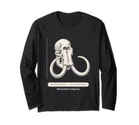 Fósil de la Edad de Hielo de Paleontología de Mamut Manga Larga