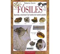 Fosiles: Aprende A Reconocer Las Huellas De Nuestro Pasado