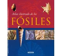 Fósiles