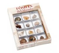 FOSILES DEL MUNDO Nº 1