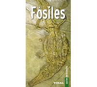 Fósiles – Guía de bolsillo – Susaeta