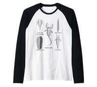 Fósiles Silúricos - Colección de Vida Marina Antigua Camiseta Manga Raglan