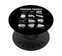 Fósiles Triásicos Paleontología Científica Arte PopSockets PopGrip Adhesivo