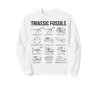 Fósiles Triásicos Paleontología Científica Arte Sudadera