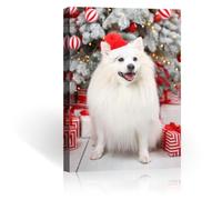 FOSOQIB Lienzo Personalizado con Foto - Cuadro Personalizado con Foto, Impresión de Alta Definición, Regalo Ideal para el Día del Padre y el Día de la Madre, 30x40 cm