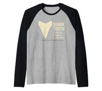 Fossil Finds Collection - Regalo de prehistoria de Dientes de tiburón amonita Camiseta Manga Raglan