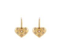 Fossil Pendientes de mujer en acero inoxidable con cierre de gancho
