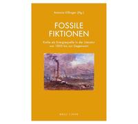 Fossile Fiktionen: Kohle als Energiequelle in der Literatur von 1850 bis zur Gegenwart: 13 (Literatur und Ökonomie)
