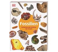Fossilien: Entdecke die Schätze der Urzeit