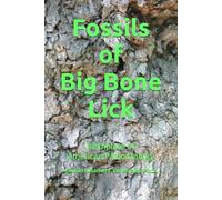 Fossils of Big Bone Lick: Birthplace of American Paleontology