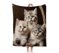 Fotmung Manta Polar 220 x 240 Gato Adorable, Mantas de Franela Mantilla para Cama 135/150, Microfibra Manta de Viaje Multiuso para Oficina Niños y Adultos, 220x240 cm M13-