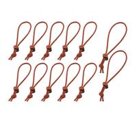 Foto del grupo de expertos Red Whips V20