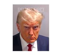 Fotografía de Donald Trump Mugshot de 11 x 14 pulgadas, magnífico retrato de foto de taza 2023, histórica Atlanta, Georgia arresto, acusado, Estados Unidos, 45º presidente, Estados Unidos, foto rara,