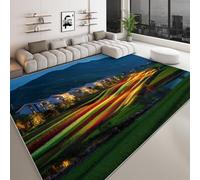 Fotografía De La Naturaleza Alfombra De Salón Campos Rayas Coloridas Casas 120 x 170 cm Pelo Corto Antideslizante Lavables Alfombrilla, Azul Habitación Dormitorio De Cocina Alfombra De Entrada