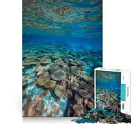 Fotografía de Paisaje Submarino de arrecifes de Coral Rompecabezas para Adultos de 1000 Piezas Desarrolla la Memoria y es Divertido Corte de Alta precisión Fácil de Aprender Disfrute en Familia