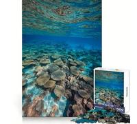Fotografía de paisajes submarinos de arrecifes de Coral Rompecabezas de 1000 Piezas para Adolescentes Estimulación cognitiva Relajación Informal Corte preciso Regalo Ideal (50x75cm)
