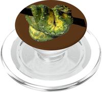 Fotografía de Reptiles de pitón de árbol Verde PopSockets PopGrip para MagSafe