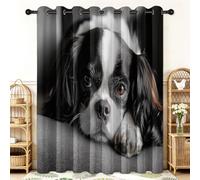 Fotografiando Animales Beagle Cortinas Opacas Ojales Cortinas Cortina Anti Luz Opacas Cortinas Aislantes Termicas, para Salon Dormitorio, 2 Piezas, 117 x229 cm, Gris