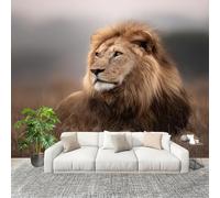Fotográfico 3D HD No Tejido Animales LeóN Primer Plano ExtraíBle Papel Pintado Fotomural 350×256 cm MarróN Resistente al agua y a las manchas Fácil Instalación Murales Panorámicos