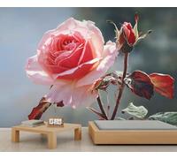 Fotomural Estándar Flor Rosa Blush suave Romántico Floral Art Decal para la sala de estar/dormitorio, delicado rosa flor decoración 100x100cm (No es autoadhesivo)