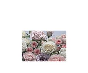 Fotomural Floraison (rosas) 3,68 x 2,54 m. Formato grande XXL! - Fotomurales Komar