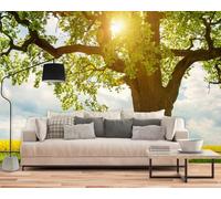 Fotomural - Papel pintado Árbol Paisaje 3D Roble Viejo Moderno Pared Sala de estar Dormitorio Habitación infantil Decoración de pared Motivo, 350cmx256cm Póster - Adhesivo de pared - Cuadro sin marco