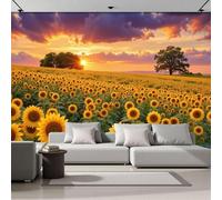 Fotomural Papel Realismo natural Atardecer sobre un campo de girasoles Amarillo, Art Papel Tapiz Fotográfico Mural 350x256cm Moderna Decoración De Pared Sala Cuarto Oficina Salón