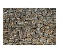 Komar Mural fotográfico Stone Wall 368x254 cm 8-727