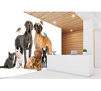 Fotomural Vinilo Pared Perros Razas | Fotomural Paredes | Mural | Vinilo Decorativo | Varias Medidas 150 x 100 cm | Veterinarios | Decoración comedores, Salones, Habitaciones...