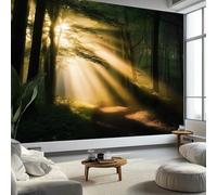 Fotomurale no Tejido Bosque Mágico Fantasía Sendero Iluminado 350 x 256 cm Papel Pintado Decoración de Pared moderna, Verde Oscuro Murales póster - Dormitorio Salón TV Pared Murales
