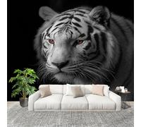 Fotomurales 200x140 cm Primer Plano De Un Animal, Un Tigre. Decoración Muro Murales Papel Pintado tejido no tejido Negro Moderna Panoramico Fotográfico Adhesivos Impermeable Papel Tapiz