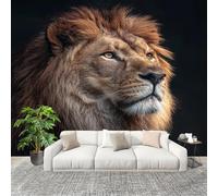 Fotomurales 300x210 cm Primer Plano De Un LeóN Macho Decoración Muro Murales Papel Pintado tejido no tejido Negro Moderna Panoramico Fotográfico Adhesivos Impermeable Papel Tapiz