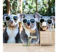 Fotomurales Autoadhesivo 200x140cm Koala Con Gafas De Sol - No Tejido - ExtraíBle Para Despegar Y Pegar - Lindo, Gracioso E Ingenioso. 3d Tv Fondo Pared Dormitorio Murales Papel Tapiz Moderno
