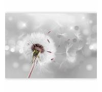 Fotomurales B&D XXL Diente de leon 250x175 cm Papel pintado tejido no tejido Decoración de Pared decorativos Murales moderna Diseno Fotográfico Flores Naturaleza b-C-0072-a-b