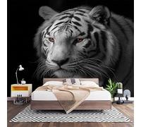 Fotomurales Decorativos Negro Papel Pintado Pared 450x315 cm Animal Tigre Blanco Papel Pintado Tejido No Tejido Decoración de Pared, Salones, Habitaciones Moderna Fotográfico