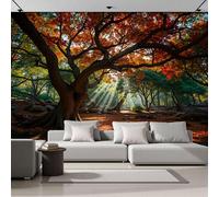 Fotomurales Decorativos Pared 3D, Bosque De Arces Soleados Bosque Otoñal Póster Papel Tapiz Decorativos Murales Impresión HD Ecológica Foto Artísticos Sofá Pintura, 200Anx140Al cm