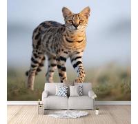 Fotomurales Decorativos Pared Animales Leopardo, Papel Pintado Infantil Carrera De Gatos De África 450X315cm Decoración De Pared Moderna Alternativa A La Pintura Cabecero De Cama Solo Aplicar