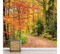 Fotomurales Decorativos Pared Bosque 3D Mural Autoadhesivo Pared Paisaje de Otoño Papel Pintado Tela de Seda Papel Tapiz Panorámico 200x140 cm B-4365