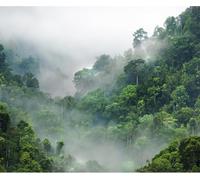 Fotomurales Decorativos Pared Bosque Verde 200x140 cm Papel Pintado Tejido No Tejido Paisaje l de Niebla Fotomural 3D Mural Paredes Papel Tapiz Decoración Salón o Dormitorio a-10746