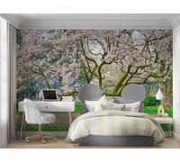 Fotomurales Decorativos Pared Cerezo En Flor En Primavera 150x105 cm Papel Pintado Tejido No Tejido Japonés Fotomural 3D Mural Paredes Papel Tapiz Decoración Salón o Dormitorio a-2505