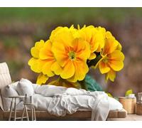 Fotomurales Decorativos Pared Flor Amarilla 450x315 cm Papel Pintado Tejido No Tejido Jardín de Primavera Fotomural 3D Mural Paredes Papel Tapiz Decoración Salón o Dormitorio a-3207