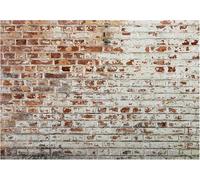 Fotomurales Decorativos Pared Pared de Ladrillo Retro Rústico 450x315 cm Papel Pintado Tejido No Tejido Pared de Ladrillos de Arte Fotomural 3D Mural Paredes Papel Tapiz Salón o Dormitorio a-10743