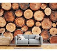 Fotomurales Decorativos Pared Registros 400x280 cm Papel Pintado Tejido No Tejido País Retro Fotomural 3D Mural Paredes Papel Tapiz Decoración Salón o Dormitorio a-2942