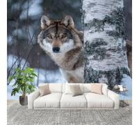 Fotomurales Papel pintado 250x176 cm Animales De Los Campos De Nieve Lobos Papel Pintado Fotográfico Panoramico Decorativos Dormitorio Blanco GrisáCeo Murales Papel Tapiz Antimoho Removibles Grandes