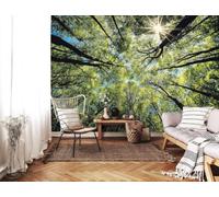 Fotomurales - Papel pintado Corona de árbol no tejida con árboles, bosque, sol, cielo y naturaleza para sala de estar y dormitorio, efecto 3D, 430 cm x 300 cm. Poster - Adhesivo para pared - Cuadro si