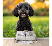 Fotomurales Perro Lindo 150x105 cm Papel Pintado Perro Animal Impresión 3D Pared Tela no Tejida Fácil de Instalar Limpiar Poster Ideal para Salones Cocinas Pasillos Papel Pintado Pared Dormitorio